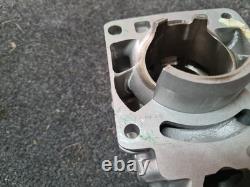 NEW aprilia Rs250 SUZUKI RGV250 NOS cylinder Barrel NEW aprilia Rs250 SUZUKI RGV250 NOS cylinder Barrel