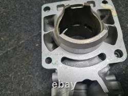 NEW aprilia Rs250 SUZUKI RGV250 NOS cylinder Barrel NEW aprilia Rs250 SUZUKI RGV250 NOS cylinder Barrel