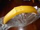 Nos Suzuki Pe175 Pe250 Pe400 Rm400 Rs250 Oem Front Fender 53111-40412-163