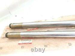 Nos Genuine Suzuki GN250 GN 250 Front Fork Inner Tubes (pair) 51110-38300