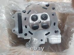 Nos Suzuki AN400 Burgman 400 2003-2006 HEAD, CYLINDER 11100-15F50