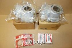 SUZUKI RGV250 RGV 250 VJ23 NOS set of cylinder barrels and pistons engine motor