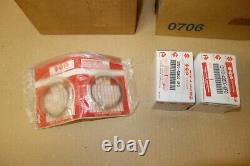 SUZUKI RGV250 RGV 250 VJ23 NOS set of cylinder barrels and pistons engine motor