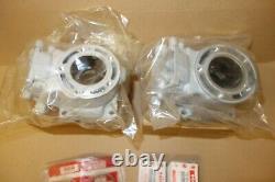 SUZUKI RGV250 RGV 250 VJ23 NOS set of cylinder barrels and pistons engine motor