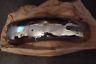 Suzuki Vintage Rear Fender Gt380 1972 Nos