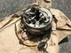 Suzuki 2strokes 50cc M15 M15d Mc50 Mca50 12v Stator Assy Nos Genuine Japan