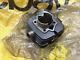 Suzuki 50ma Ma50 Mc50 Md50 M10 M12 M15 Cylinder Nos Genuine P/n 11210-01200