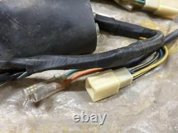 Suzuki 71-73 TS125 TS125R/J/K TC125 TC125R/J/K Wiring Harness NOS 36610-28000