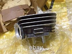 Suzuki 76-77 TC100 TC100A/B TS100 TS100A/B Cylinder NOS Genuine P/N 11210-25610