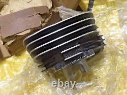 Suzuki 76-77 TC100 TC100A/B TS100 TS100A/B Cylinder NOS Genuine P/N 11210-25610