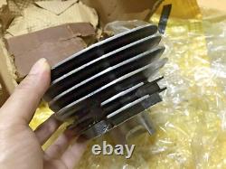 Suzuki 76-77 TC100 TC100A/B TS100 TS100A/B Cylinder NOS Genuine P/N 11210-25610