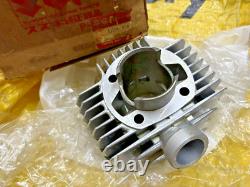 Suzuki 76-95 100 A100 A100K/L/M/N A100-4 Cylinder NOS Genuine Japan 11200-23810