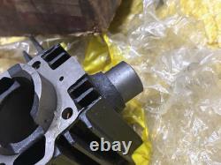 Suzuki 90 T90 T-90 WOLF LH Left Cylinder NOS Genuine Japan P/N 11220-20001