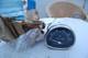 Suzuki A100, As100, Ac100 Speedo Assembly Nos