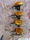 Suzuki Gn 125 Gs 125 400 424 500 550 Full Set Of Indicators Genuine Nos