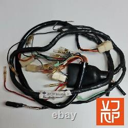 Suzuki Gt250 K. L. M 73-75 Nos Full Wiring Harness / Loom New 36610-18100