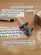 Suzuki Gt250 X7 All Gt200 X5 All Nos Petcock Assembly Pt 44300-11375 Obsolete