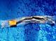 Suzuki Rg500 Lower Front Brake Hose 59240-20a01 Nos Genuine Rare Last Ones