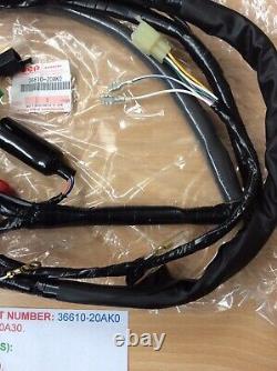 Suzuki Rg500 Rg400 Nos Wiring Harness / Loom New In Parts Bag Pt 36610-20ak0