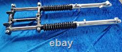 Suzuki TS125ER TS185ER 80-81 Complete Front Fork Set 51100-48501-291 NOS Mint