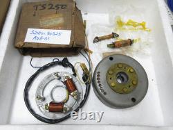 Suzuki TS250 TS185 Magneto Assy NOS TS250 1973-79 Generator Stator 32100-30625